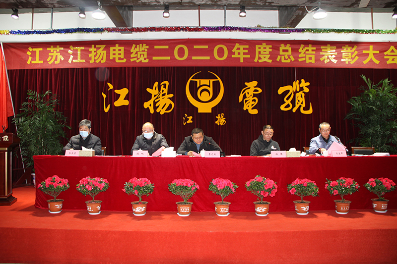 热烈祝贺麻将胡了pg电缆2020年度总结表彰大会顺利召开